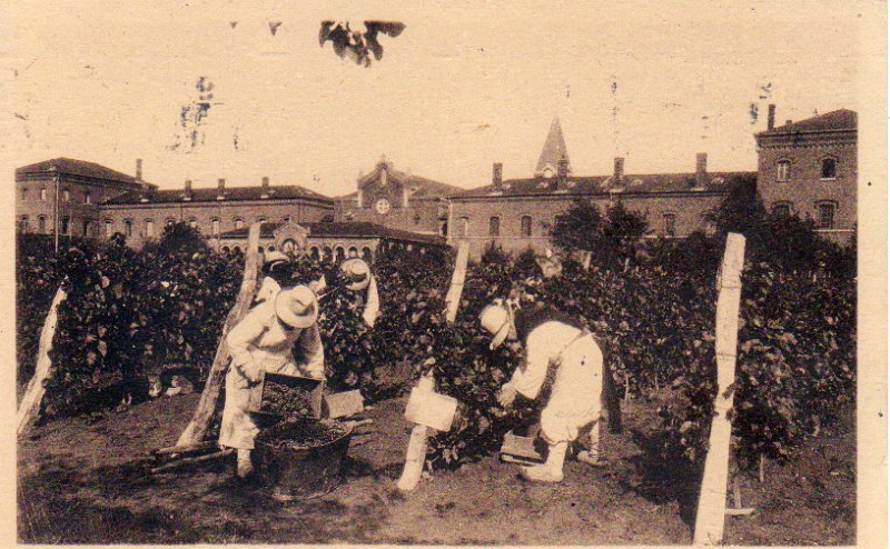 Original image